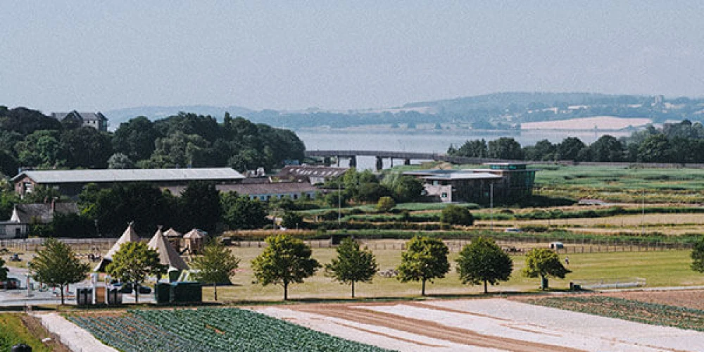 July in The Farm Table