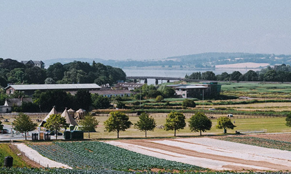 July in The Farm Table