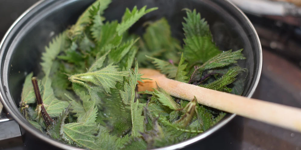 James Chubb's Nettle Soup