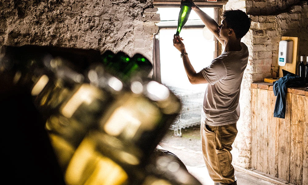 June in The Farm Table