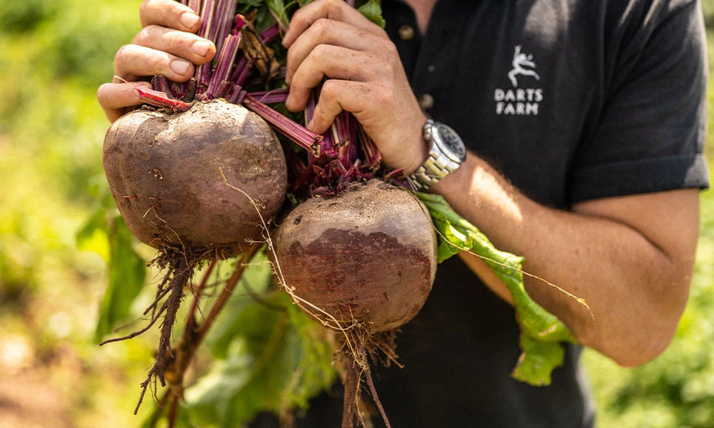 Roasted Beetroot & Apple Salad with Raspberry Dressing