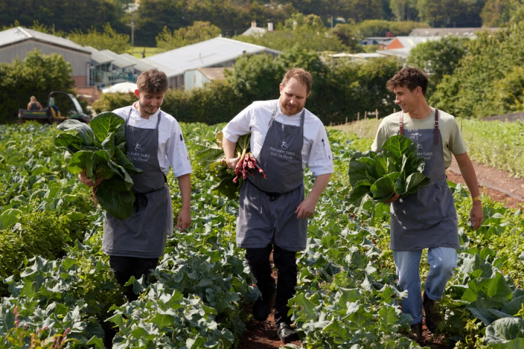 The Farm Table