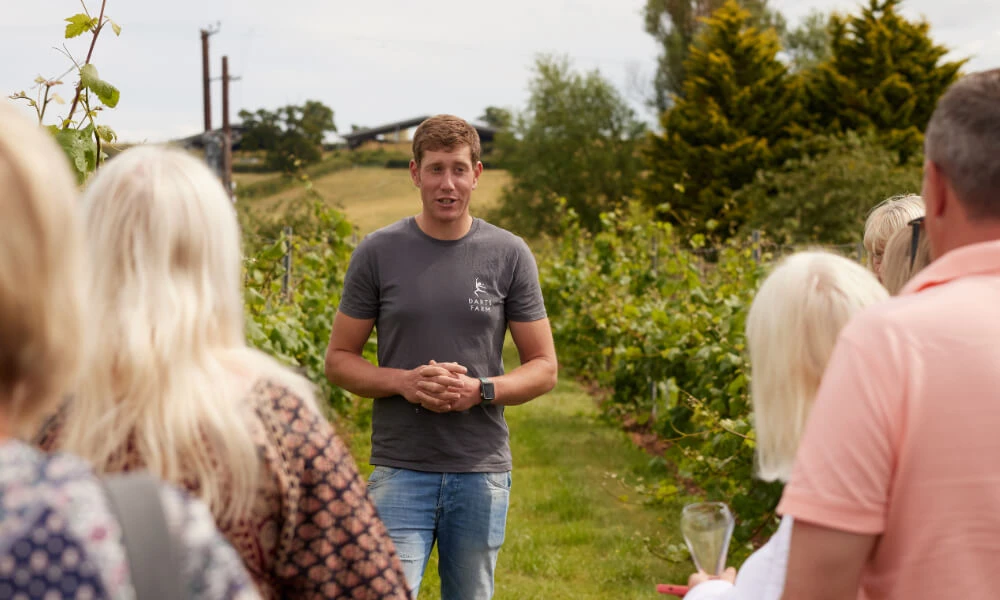 Pebblebed Vineyard Tour & Tasting | 2026 Season