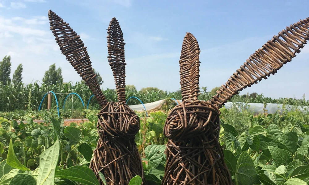 Willow Hare Masterclass