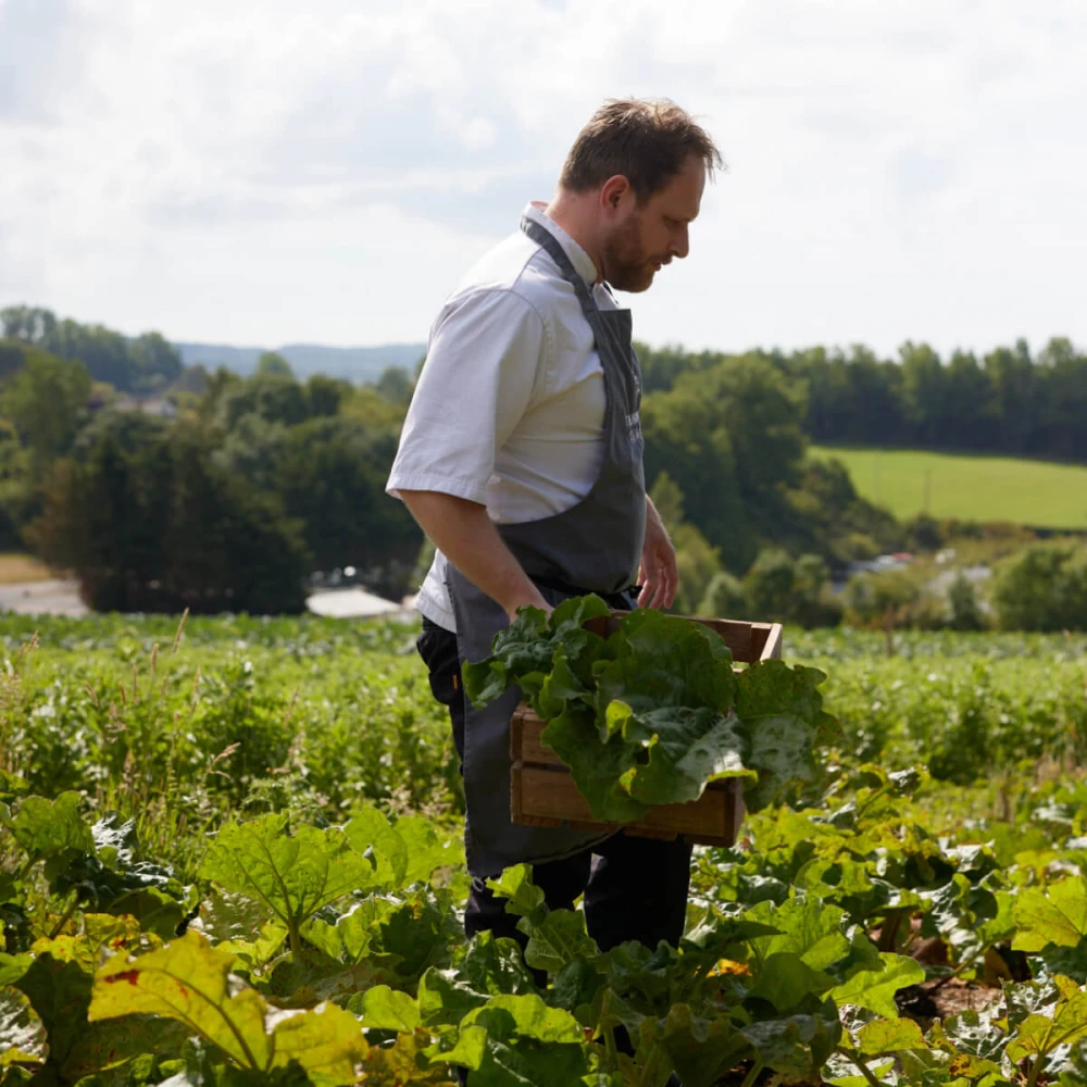 Darts Purple Sprouting Broccoli & Chew Vally Stracciatella Salad Image 1