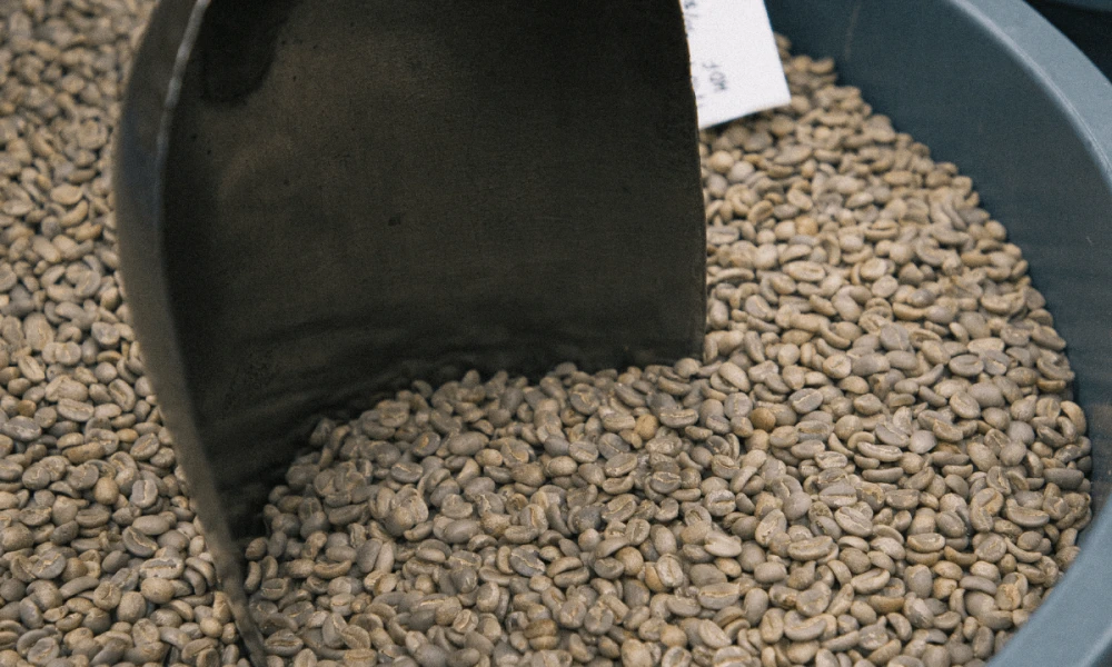 Barista Masterclass with Roastworks Coffee Co.