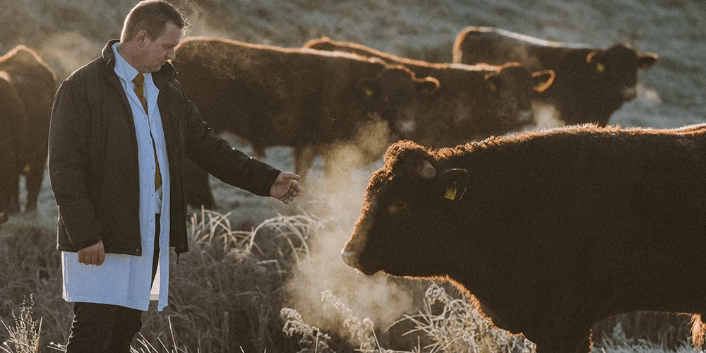 The Return to Real Food