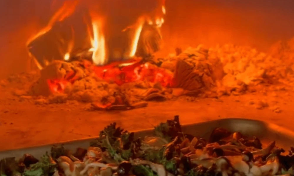 The Magic of Mushrooms with Forest Fungi