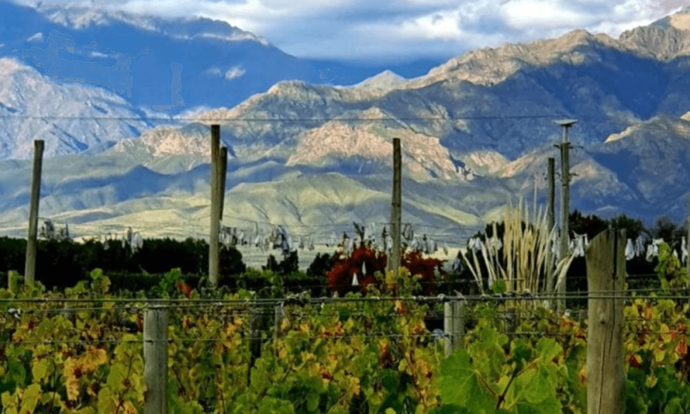 Argentinian Wine Dinner