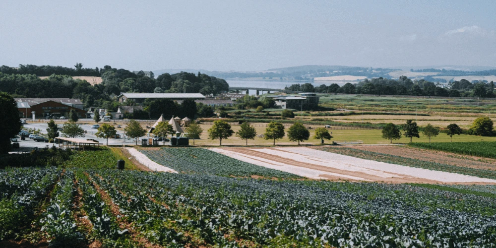 August in The Farm Table