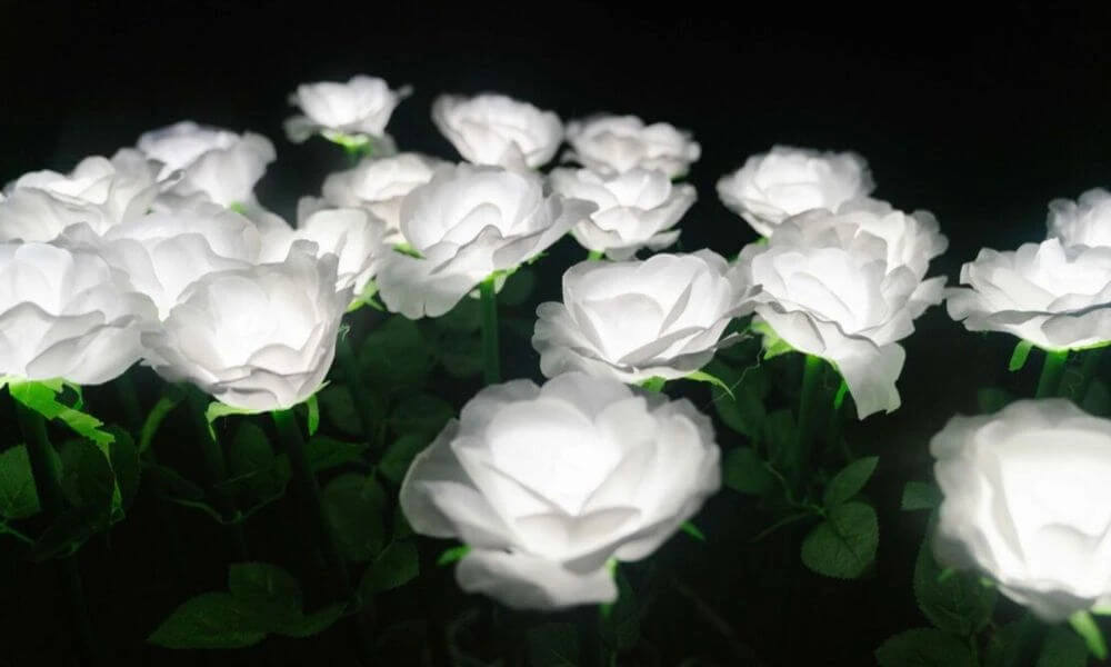 Hospiscare Garden of Light at Darts Farm