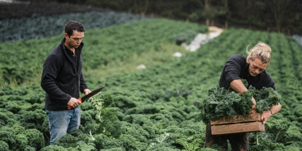 September in the farm Table