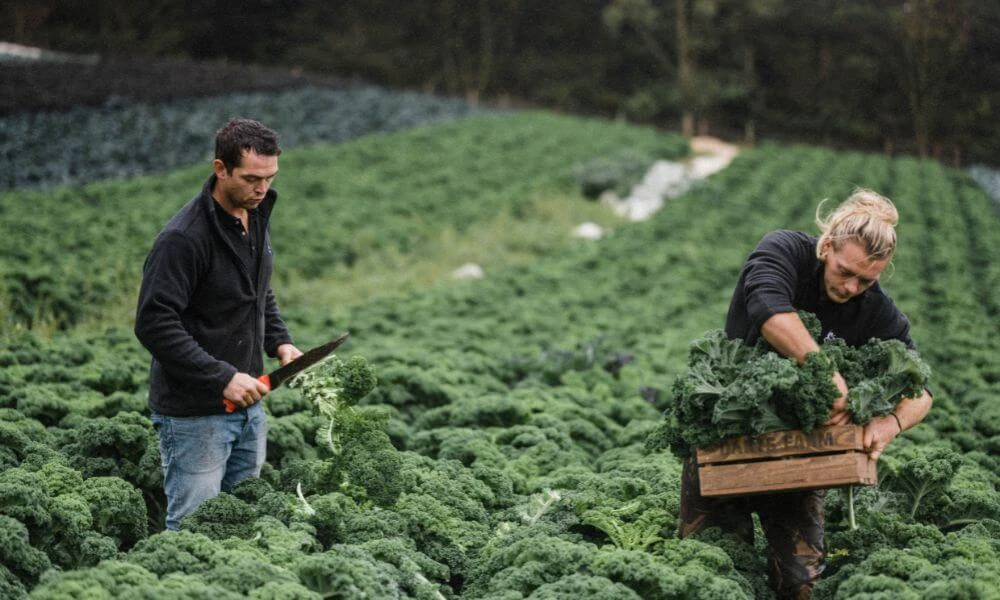 September in the farm Table