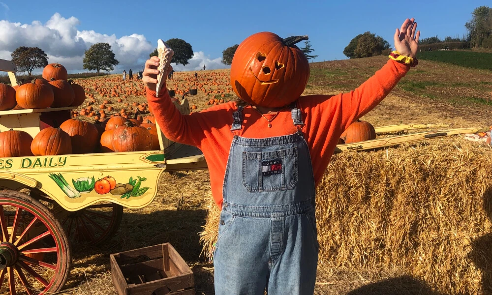 Darts Farm Pumpkin Fest