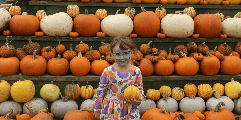 Darts Farm Pumpkin Fest 2026