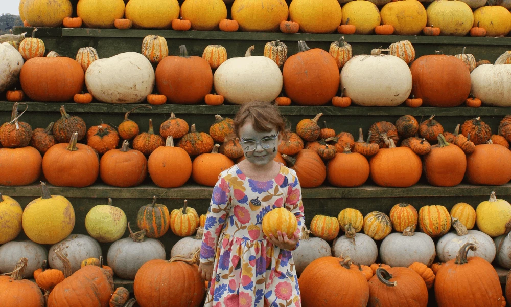 Darts Farm Pumpkin Fest 2026