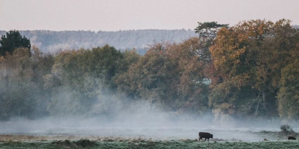 November in The Farm Table