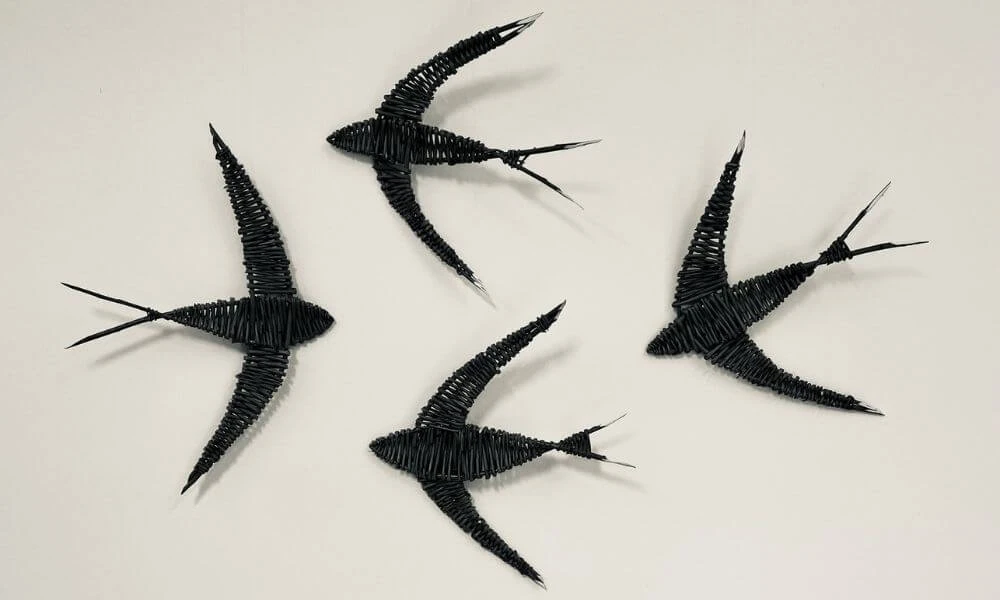 Willow Swifts Masterclass | 25.04.26