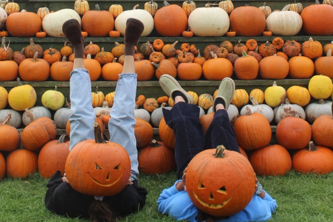 Pumpkin Fest