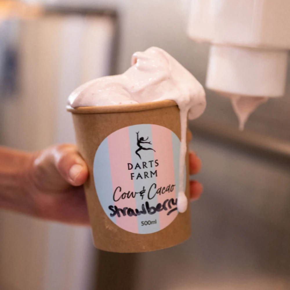 Homemade Gelato