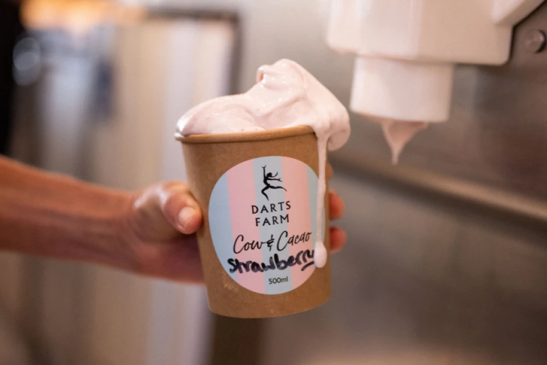Homemade Gelato