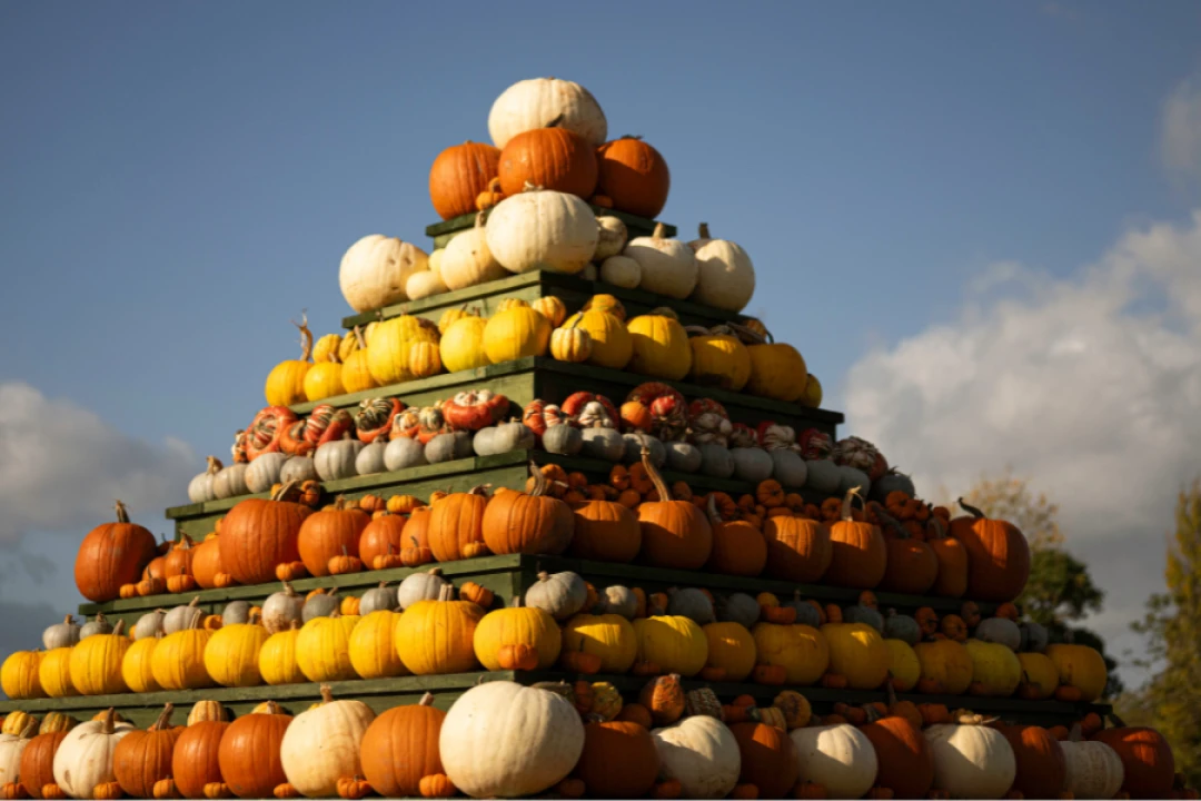 Pumpkin Fest