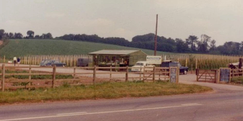 The Start of a Milestone Year