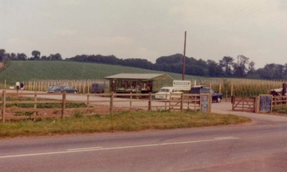 The Start of a Milestone Year