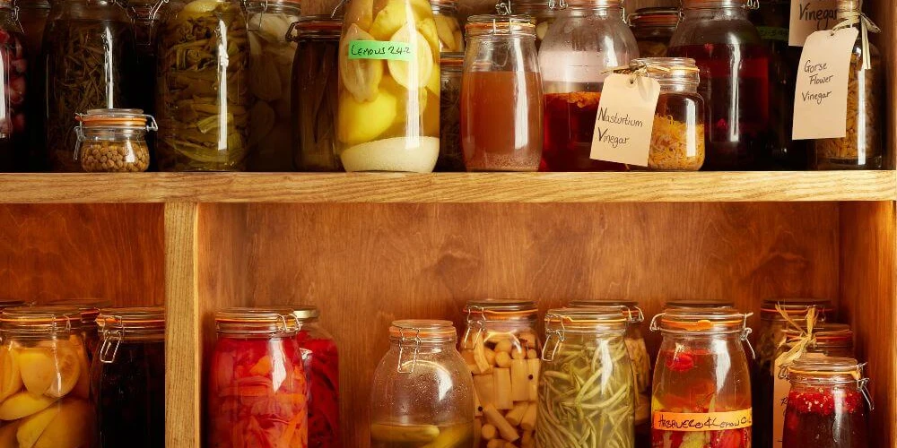 Why Fermented Foods Matter