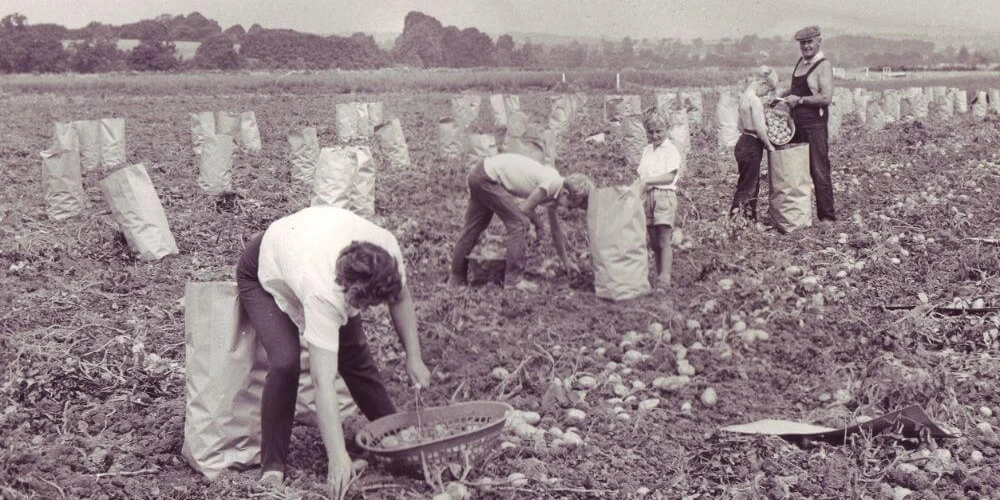 Food, Farming and thoughts for the future