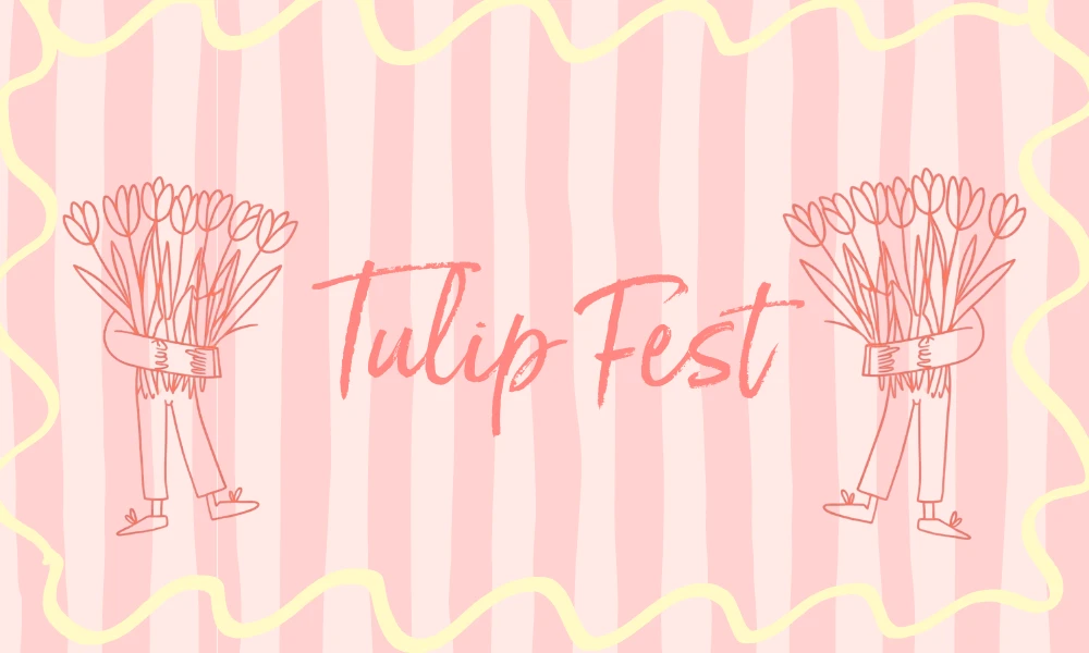 Tulip Fest