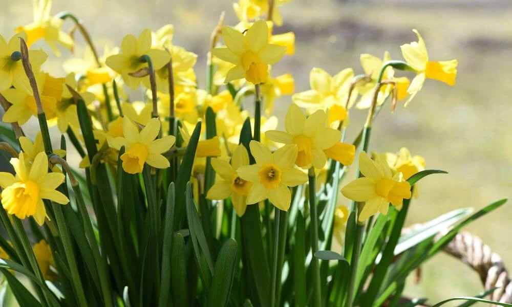 What's On This Spring