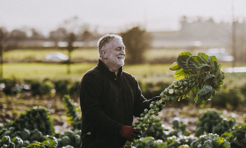 Roasted Sprouts, Brussels Sprout Kimchi, & Pickled Sprout Leaf Image 2