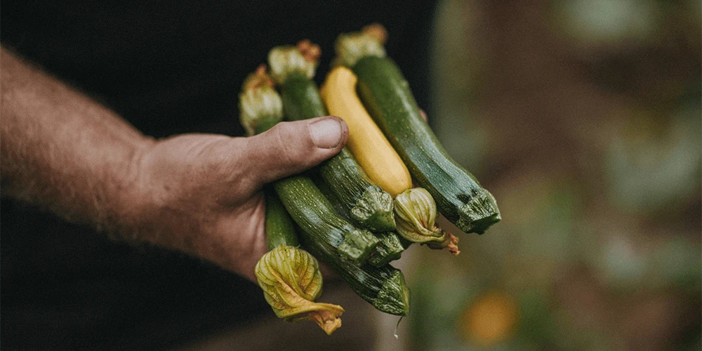 Grilled Courgette & Green Beans with Ricotta