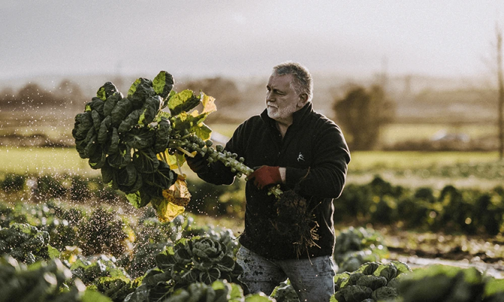 Parmesan Brussels Sprouts