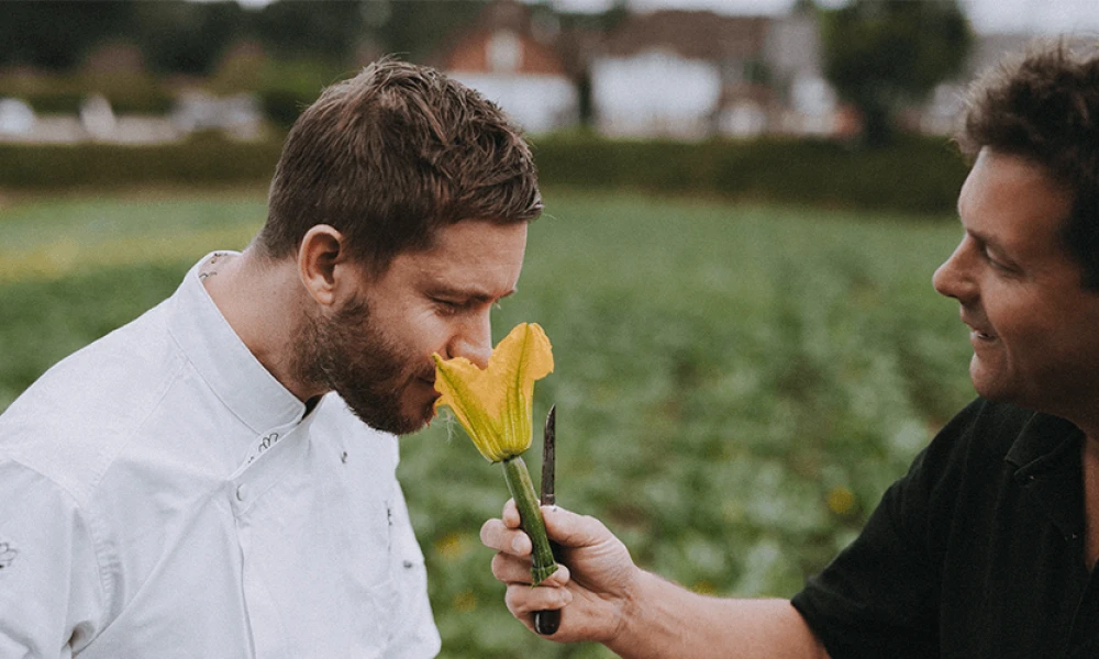 Stuffed Courgette Flowers