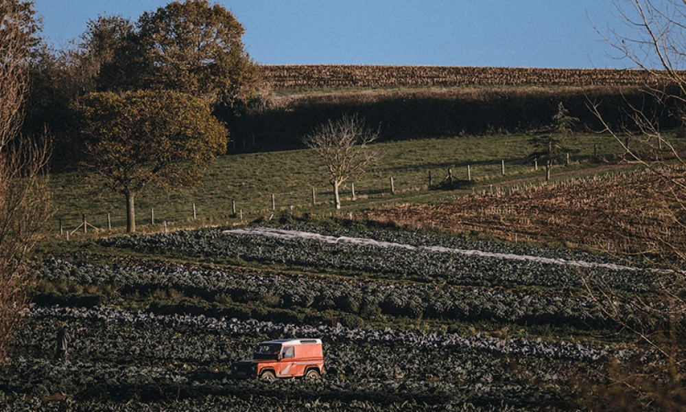 October in The Farm Table