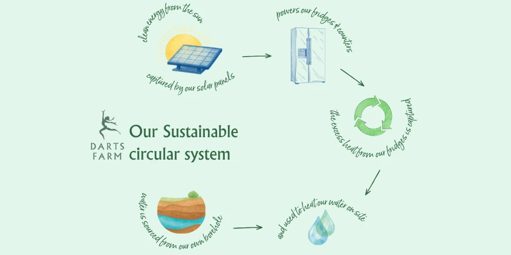 Harnessing the Sun: How Our Sustainable Circular System Works