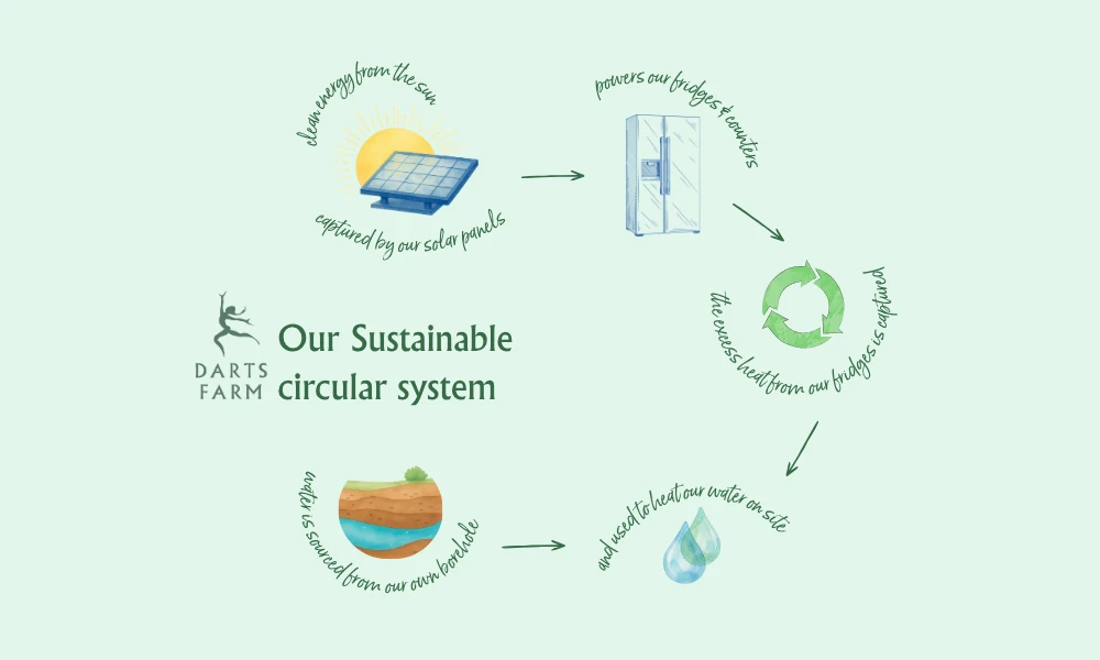 Harnessing the Sun: How Our Sustainable Circular System Works