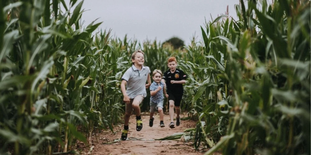 What's on this Summer Holidays