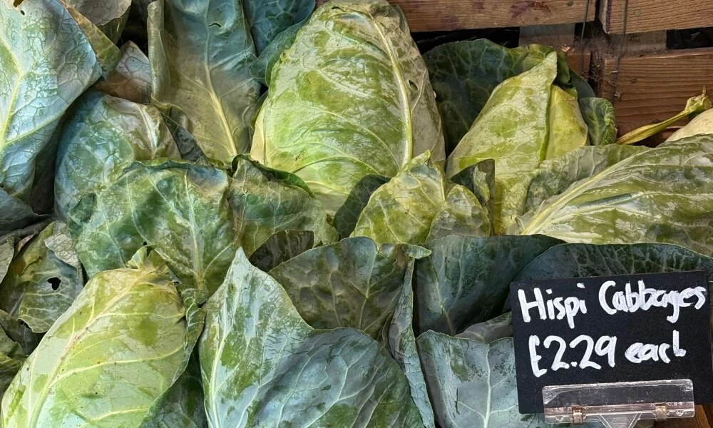 CHARRED HISPI CABBAGE WITH CHILLI MISO BUTTER Image 2