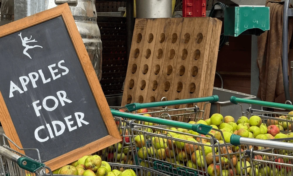 Community Apple Drop