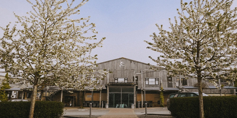 Bright Ideas | How the Sun Powers Darts Farm