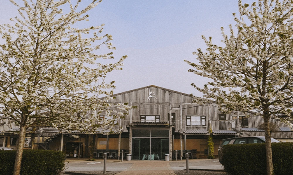 Bright Ideas | How the Sun Powers Darts Farm