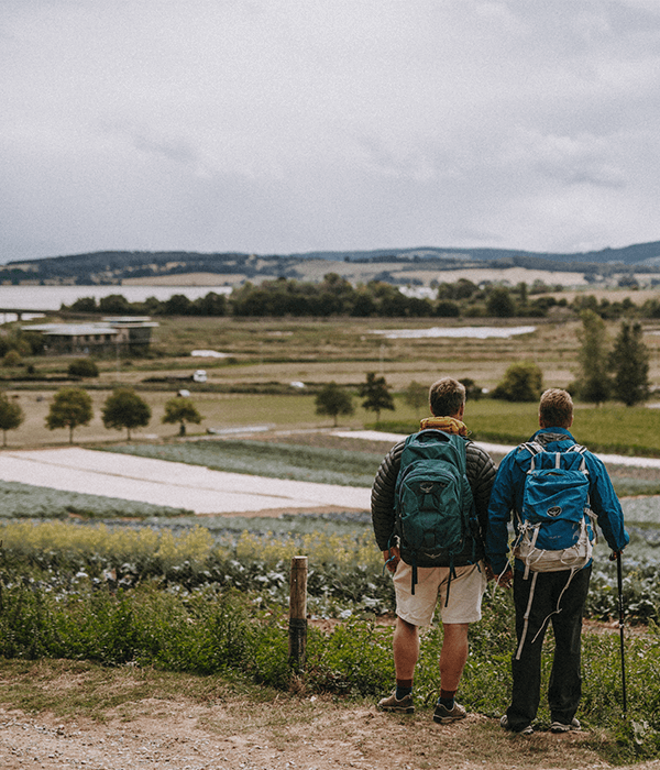 Cotswold cheap outdoor backpack