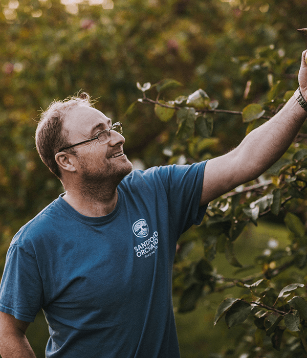 sandford-orchards-darts-farm-devon_600x700