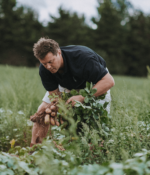 james-dart-farming-potatoes-darts-farm-exeter_600x700