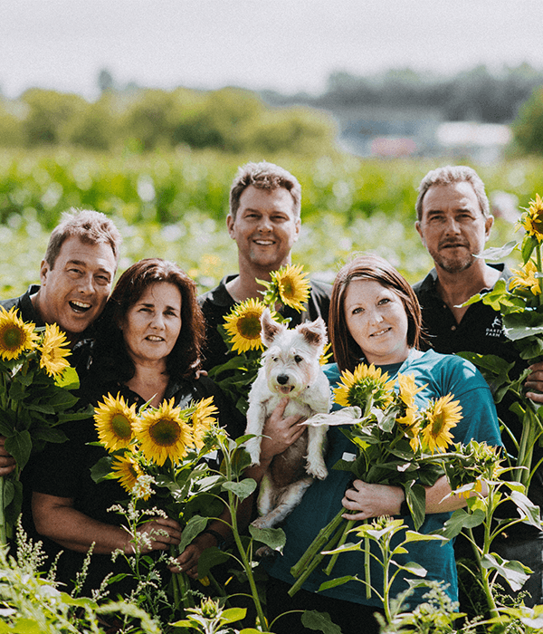 hospicare-sunflowers-pick-your-own-dart-brothers-charity-darts-farm-devon_600x700