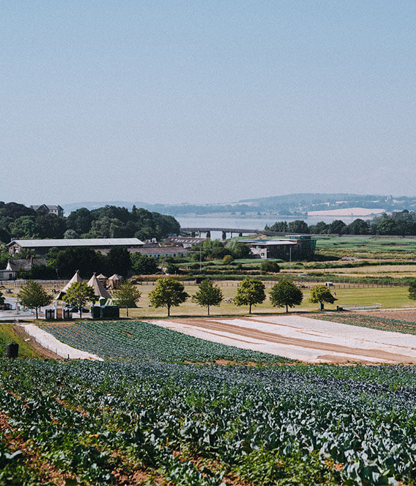 fields_farm_darts_farm_devon