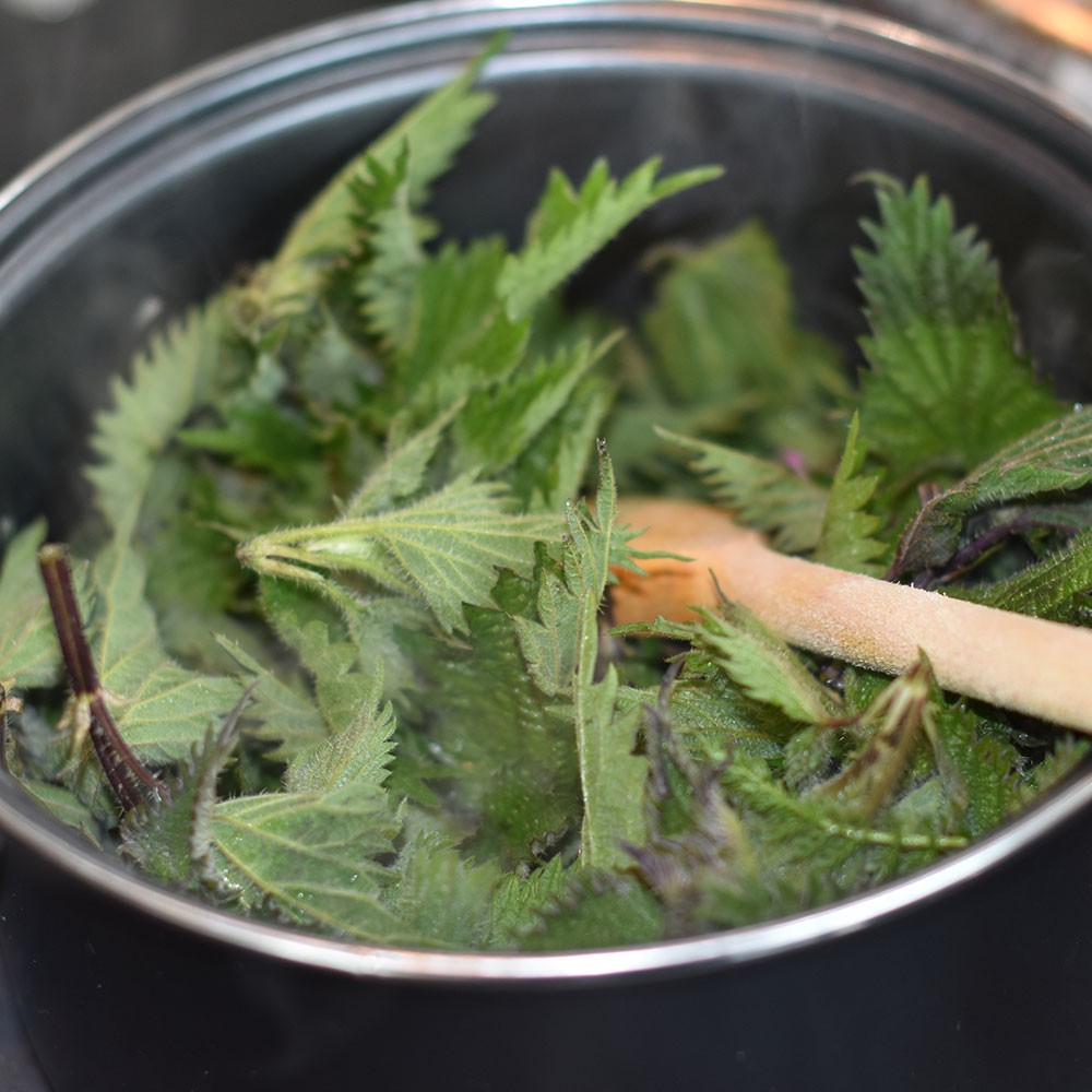 James Chubb's Nettle Soup Image 1